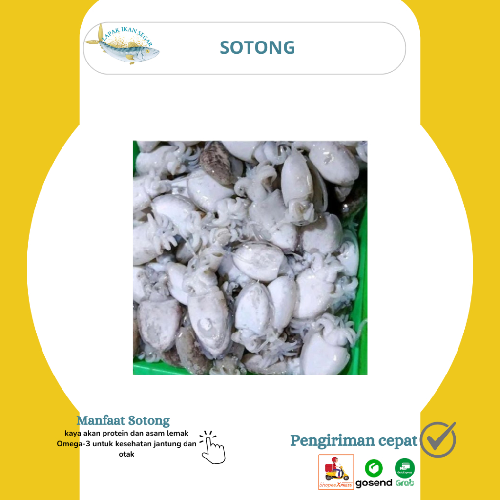 Cumi Sotong Segar / Cumi Sotong Segar Ukuran  500-1kg