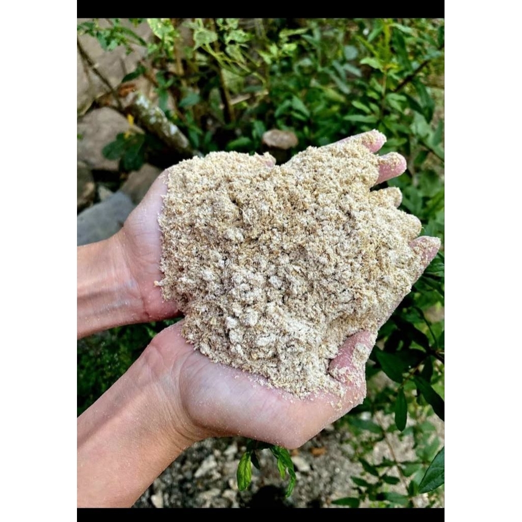 DEDAK BEKATUL 1KG