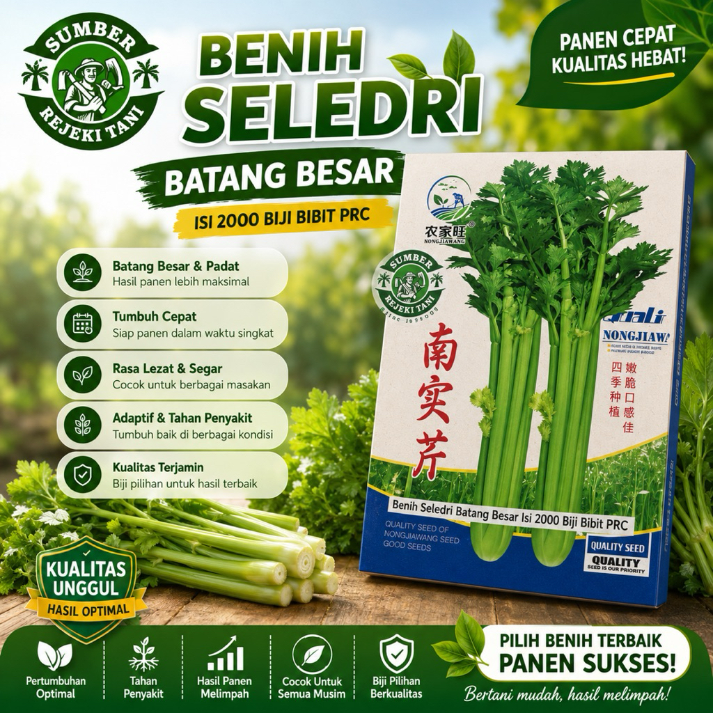 benih seledri batang besar