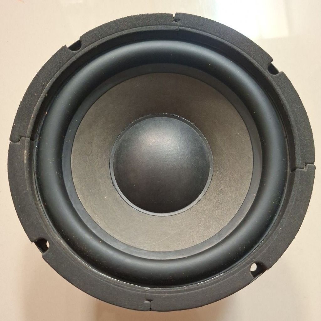 woofer POLYTRON 6 INCH
