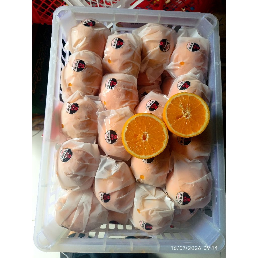 jeruk Sunkist