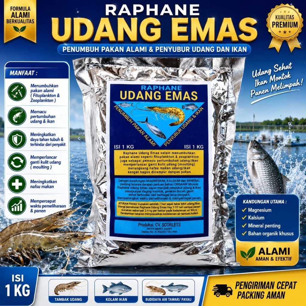 RAPHANE UDANG EMAS