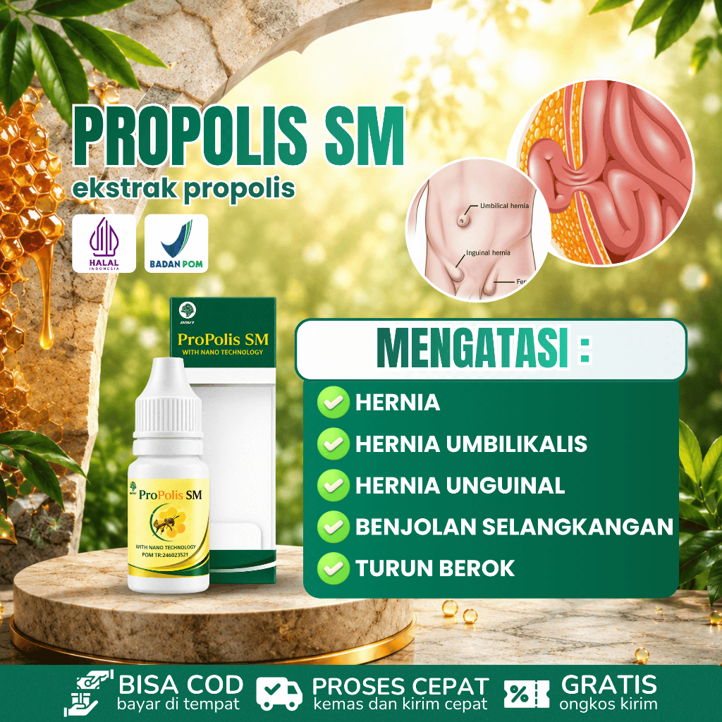 Obat Hernia Turun Berok Dewasa Dan Anak, Obat Hernia Turun Berok, Obat Hernia Inguinalis, Obat Herni