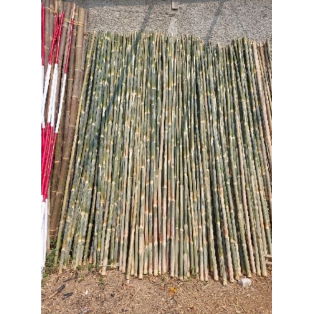 Tiang bendera Serbaguna, Umbul-Umbul (bambu 3 Meter)