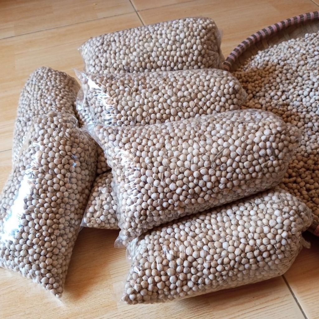 Biji Jali-Jali Ketan 1 Liter Lebih dari 1000 Biji Bukan Produk Imfor