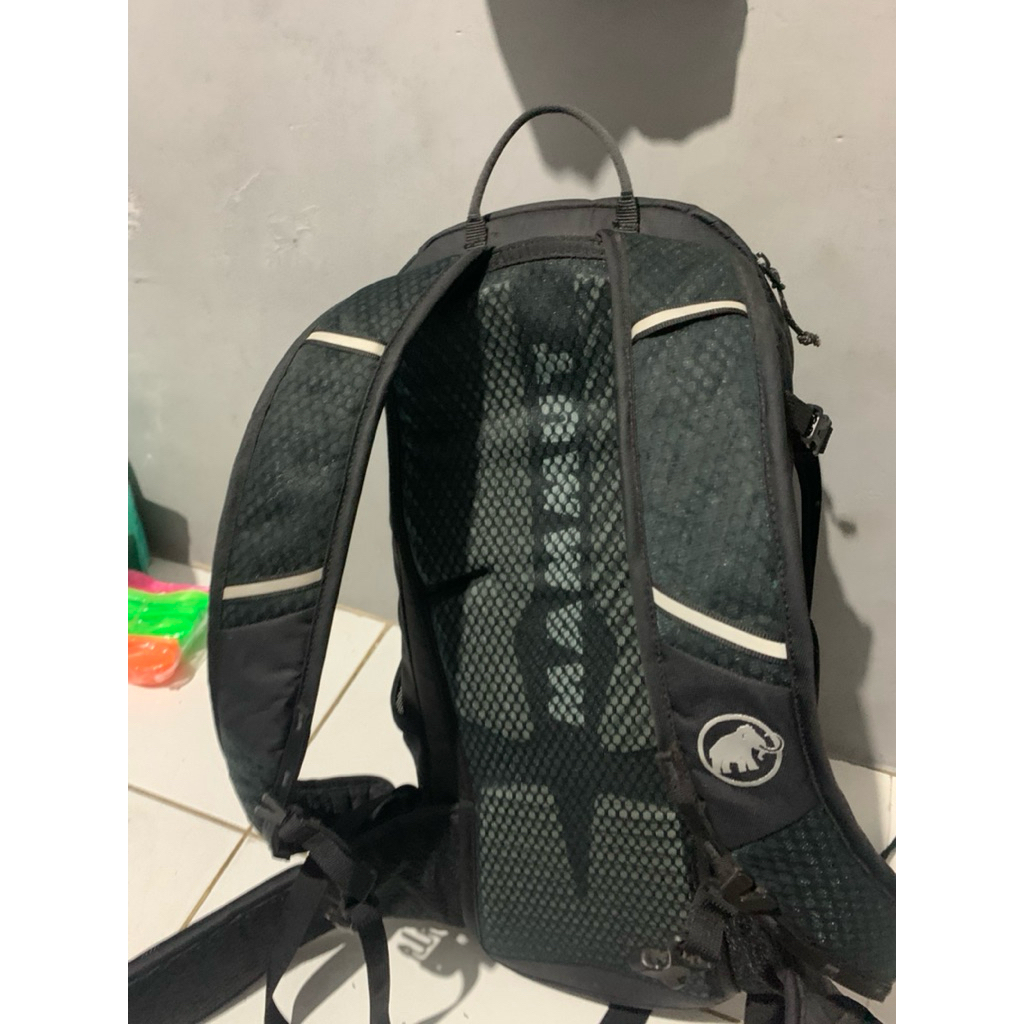 mammut