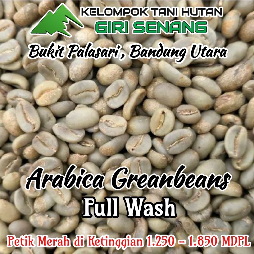 Green Bean Kopi Arabika Java Preanger Full Wash Bandung Utara