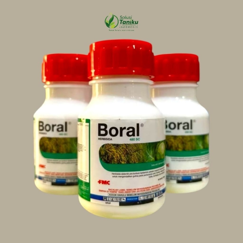 BORAL 480SC 100ml - Herbisida Sistemik Selektif Boral 480sc