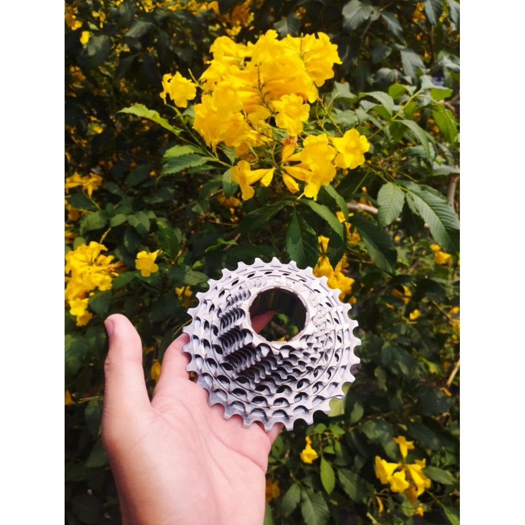 sprocket Sram Red XG1190