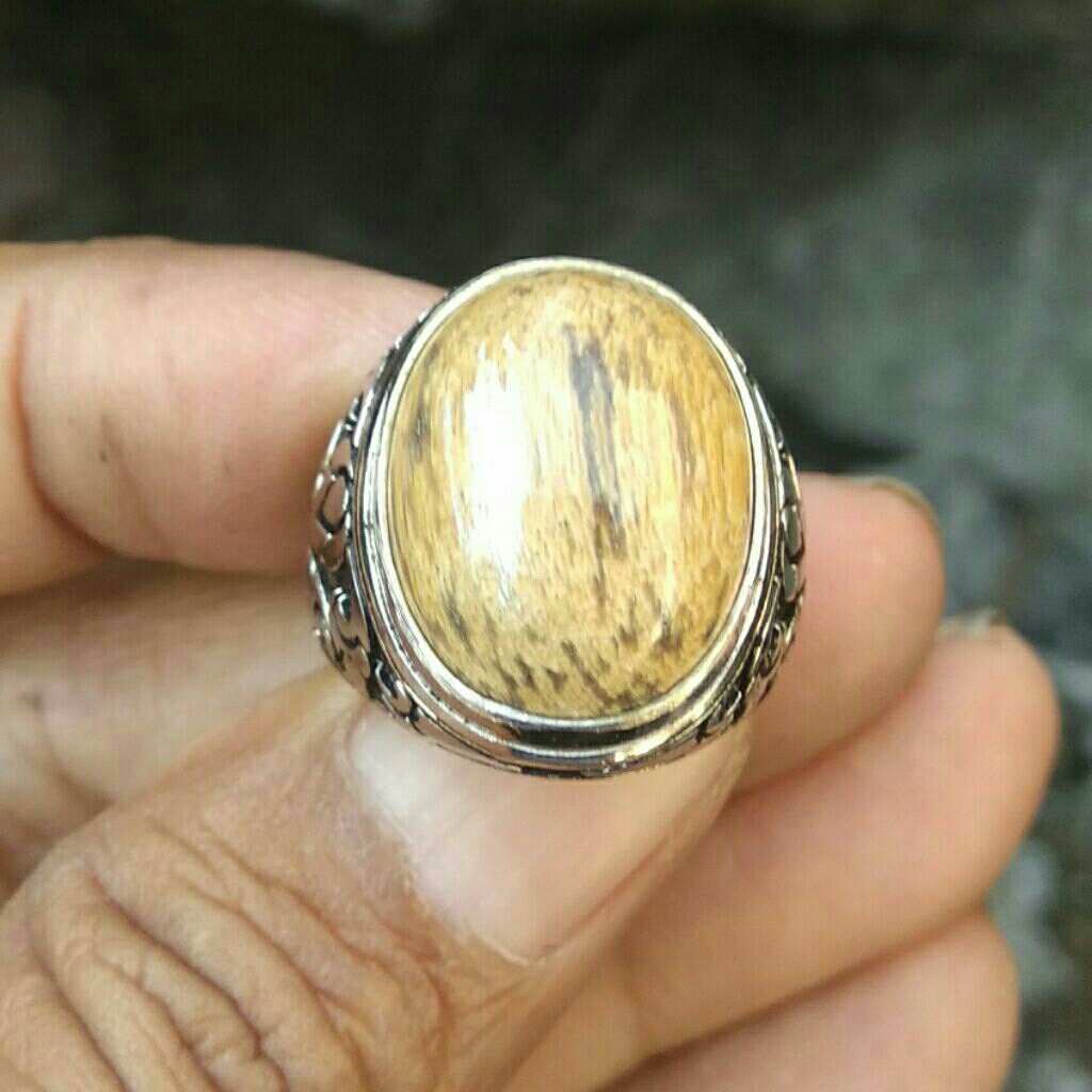Cincin Batu Akik Fosil Kayu Asli Cibeet Natural Fossilized Wood