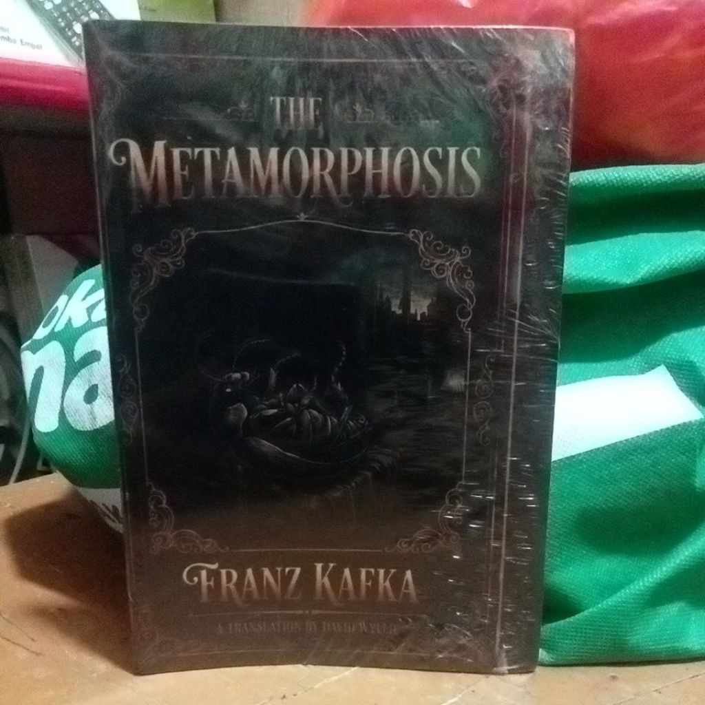 THE METAMORPHOSIS,franz kafka