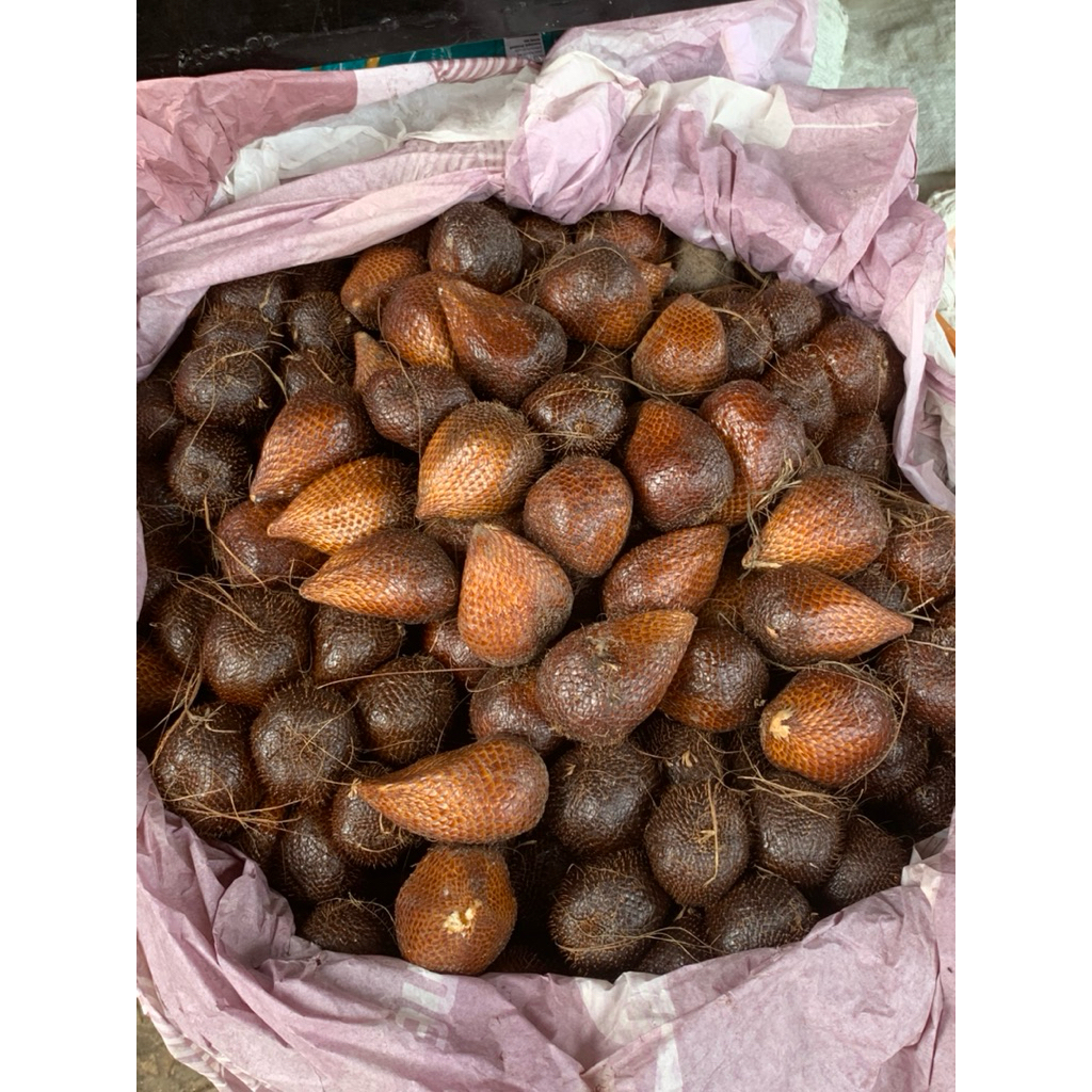 Salak Pondoh - Salak Manis - Salak Pondoh Manis - Salak Madu