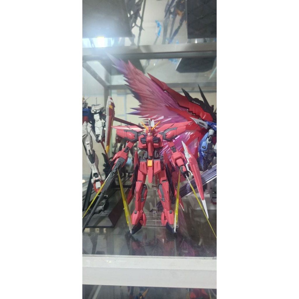 Daban MG Aegis
