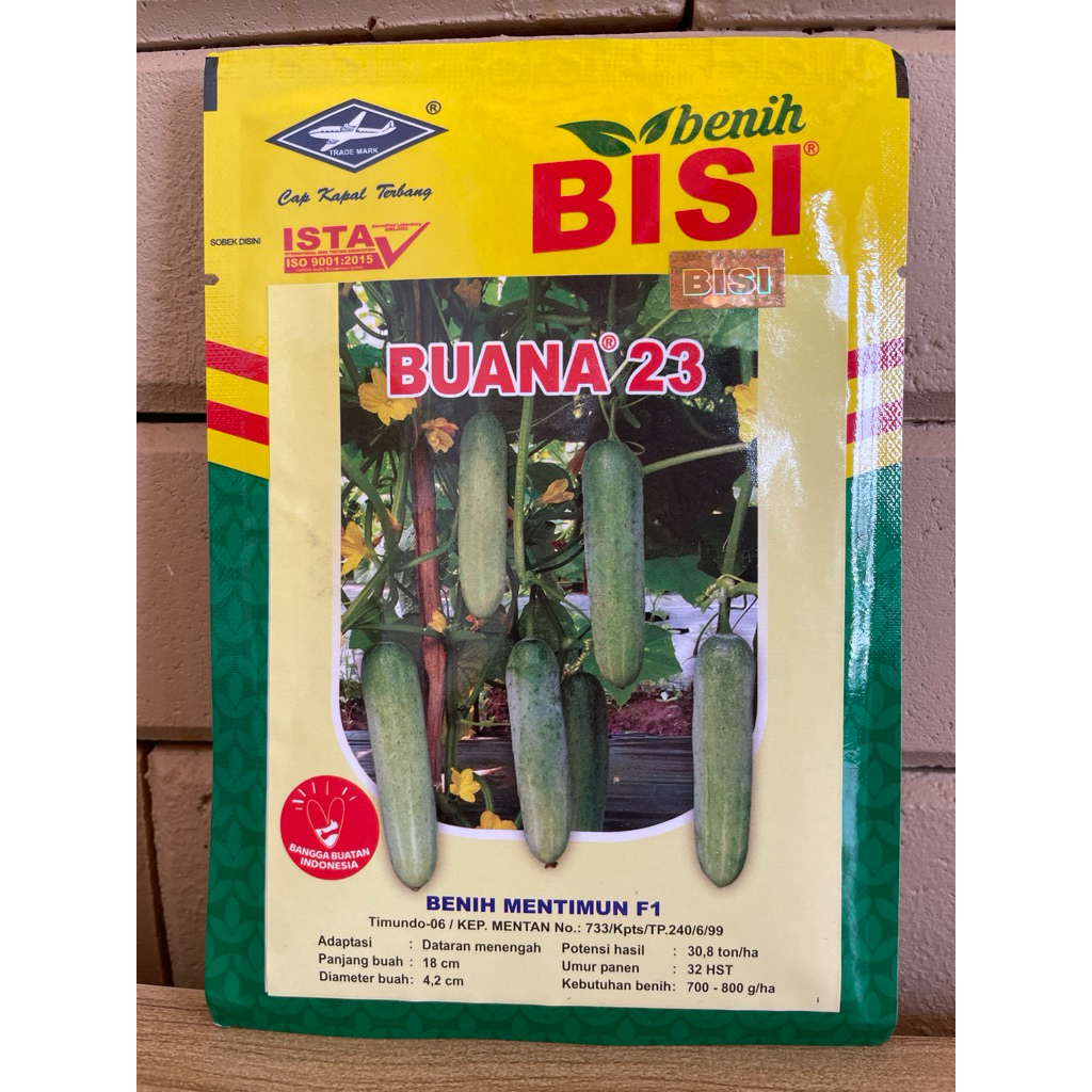 Benih timun BUANA 23