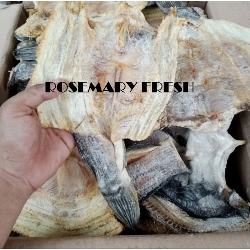 IKAN ASIN SUDANG