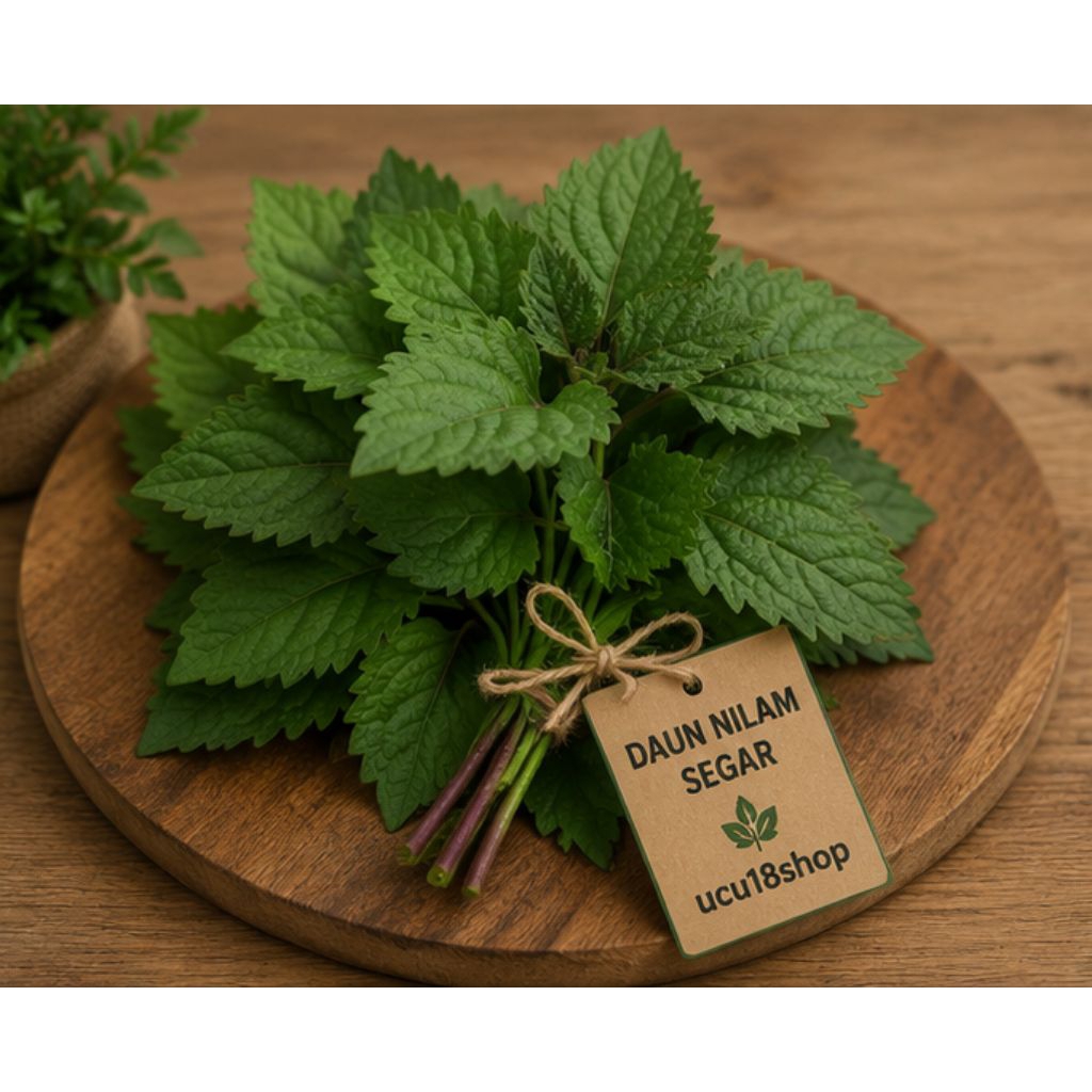 Daun Nilam segar nilam asli - us