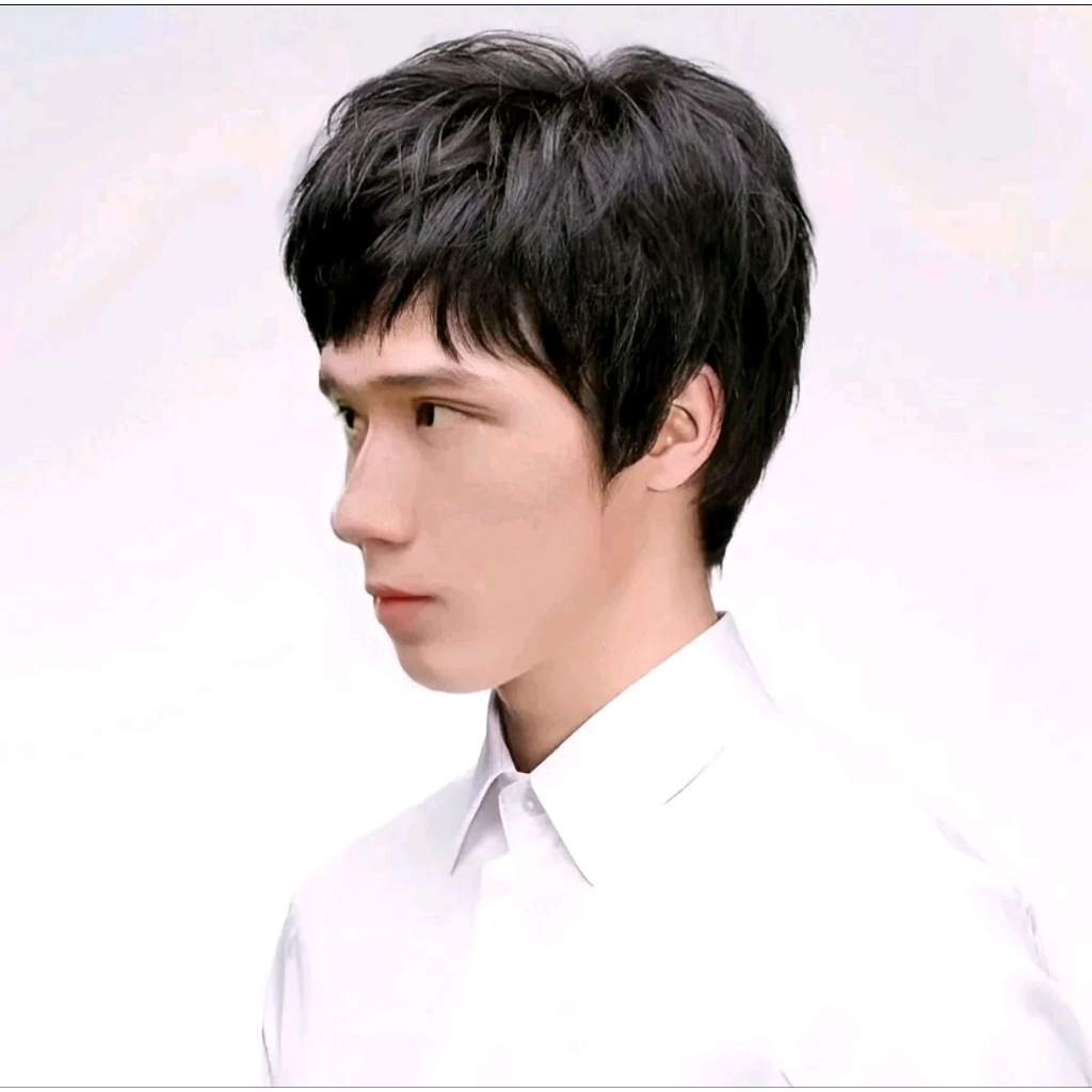 WIG PRIA RAMBUT PENDEK MODEL PONI PENDEK