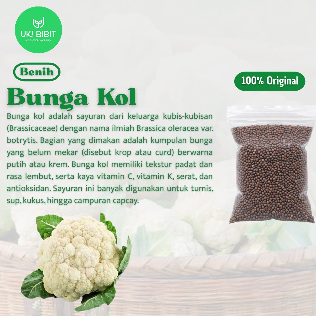 ( 100 Butir ) Benih Biji Bunga Kol | Kembang Kol | Kol Bunga