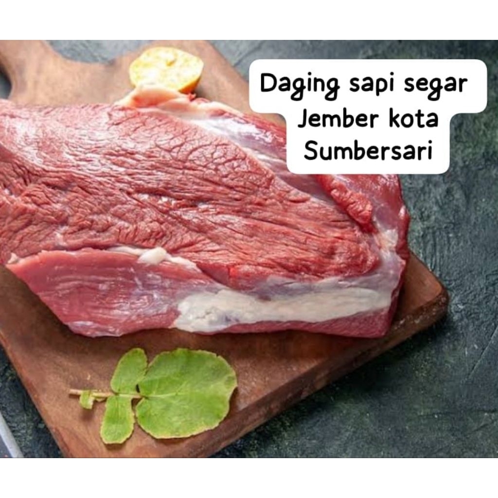 daging sapi jember kota Sumbersari - Halal, Lemak Sedikit, Segar
