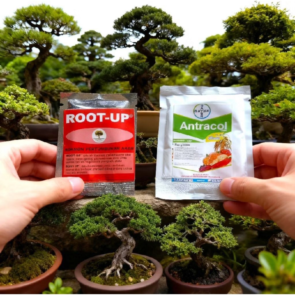 Paket 2 Pcs Root Up & Antracol Sachet - Kombinasi Penumbuh Akar + Anti Busuk Akar Jamur Tanaman Hias
