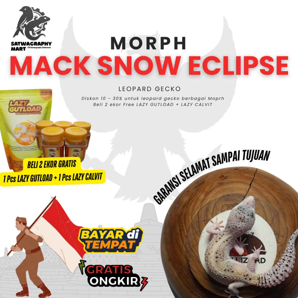Mainan Anak GECKO Warna MSE MACK SNOW ECLIPSE