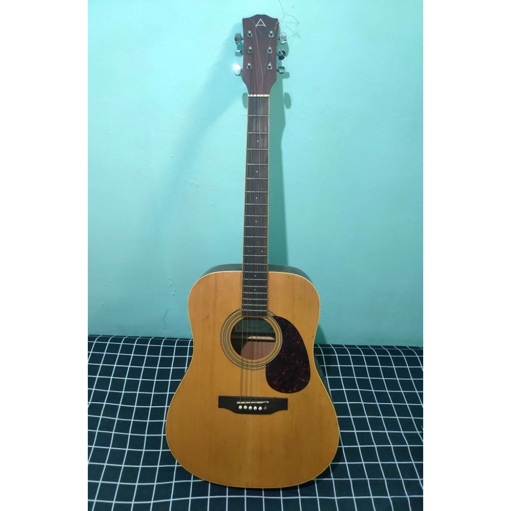 Gitar Akustik Anderson AFE-12-N