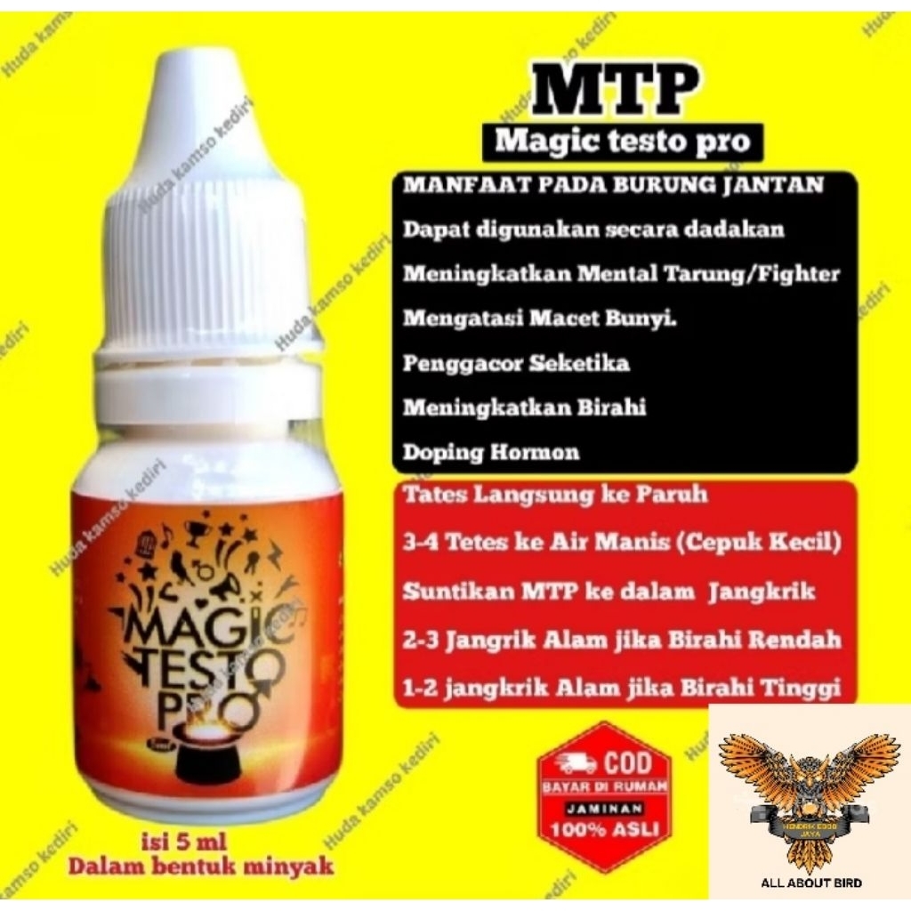 magic testo pro mejik testo pro vitamin lomba dan harian murai kacer cak ijo lovebird dan kenari