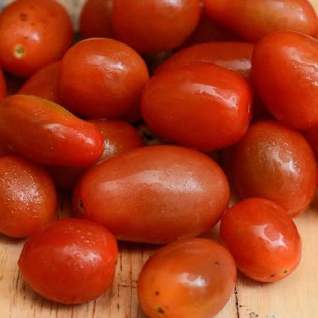 Tomat cherry Organik  || 1kg || Cherry Tomato