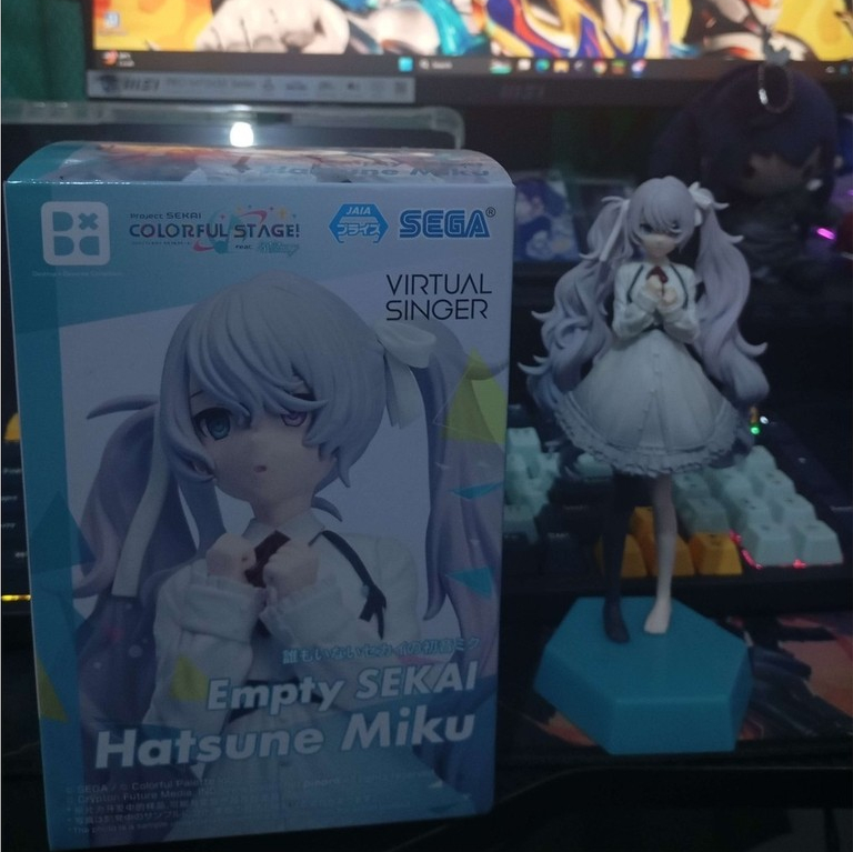 Pesenan Orang Hatsune Migu Proseka