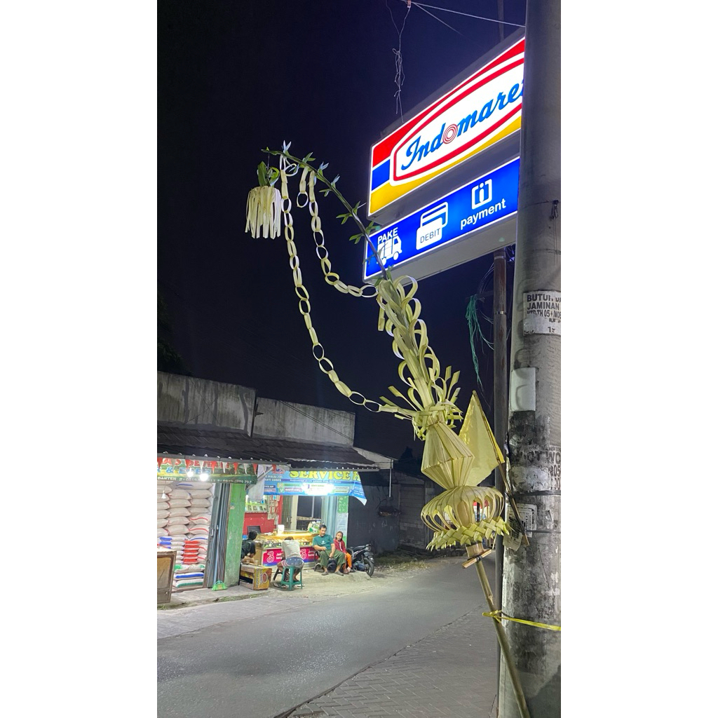 janur kuning/janur pernikahan/ dekorasi