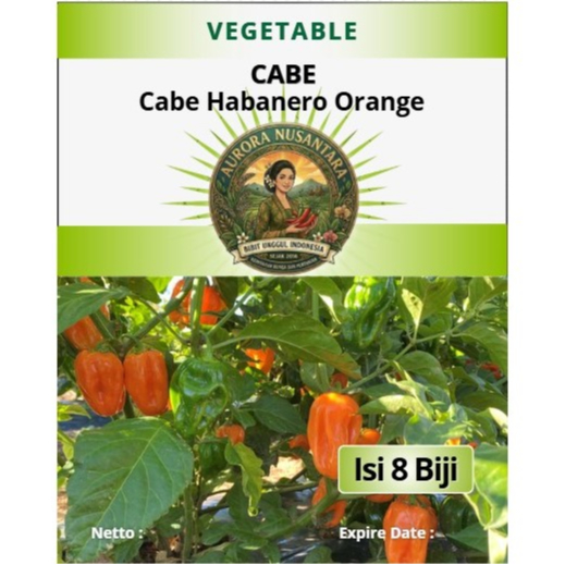 Bibit Unggul Indonesia Cabe Habanero Orange | Biji Benih Cabe Habanero Orange |Cabe Habanero Orange