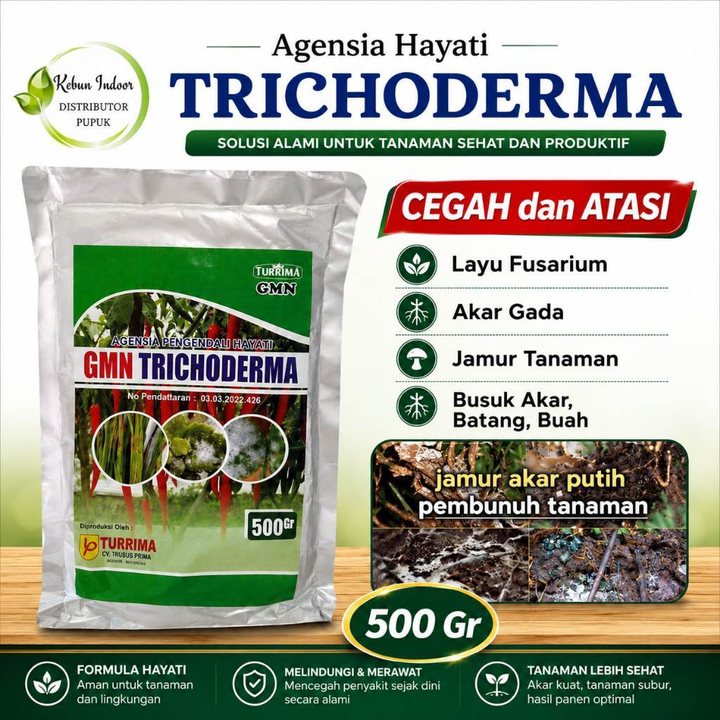 Pupuk Fungisida Hayati Anti Jamur GANODERMA Tanaman Kelapa Sawit, Trichoderma Untuk Sawit