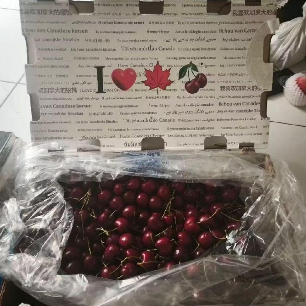 Cherry Super Premium Import Canada Manis Segar gift box -+5kg