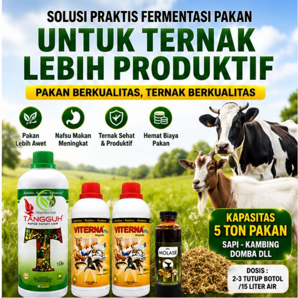 Fermentasi Pakan Ternak Tangguh Viterna Plus Molase untuk Sapi Kambing Domba