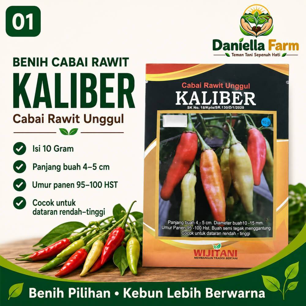 Benih Cabe Rawit Kaliber 10 Gram Wijitani Original | Bibit Cabai Rawit Unggul