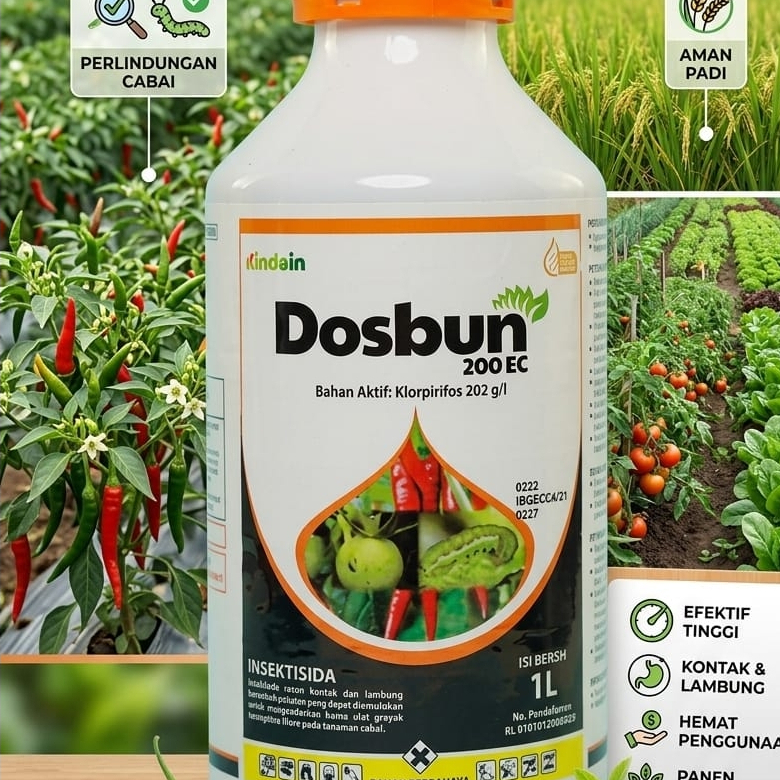 Insektisida Dosbun 200 EC Kindain Bahan Aktif Klorpirifos 202 g/l Isi Bersih 1L untuk Tanaman Cabai