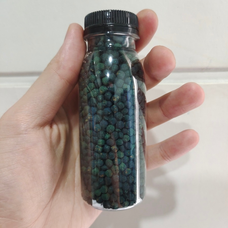 HOBI IKAN - auranti Pelet channa blue 50gram 100gram pakan ikan channa auranti predator chana barca 
