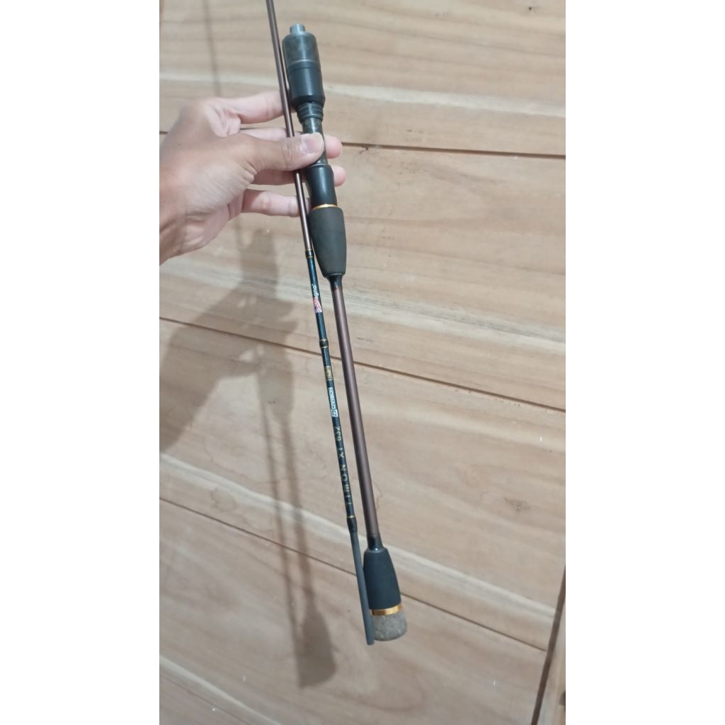 Magno Timon xt