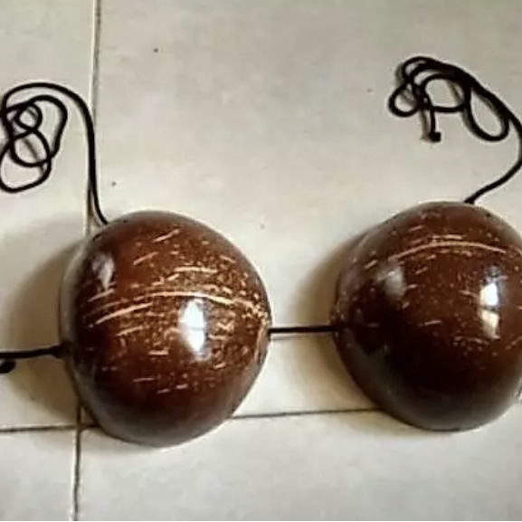 Bra Batok Kelapa Asli - Properti Kostum Tari Hula Hawaii Pantai & Souvenir Unik