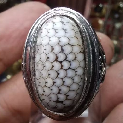 Batu Jipen Sisik Ular