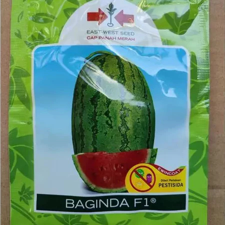BAGINDA SEMANGKA F1 380 BUTIR