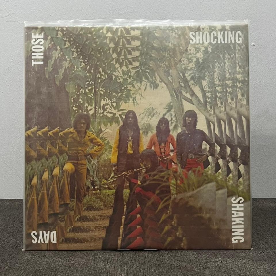 Vinyl Kompilasi Those Shocking Shaking Days