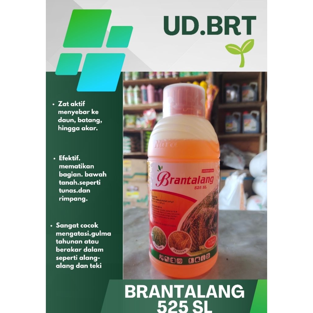 brantalang 525 SL