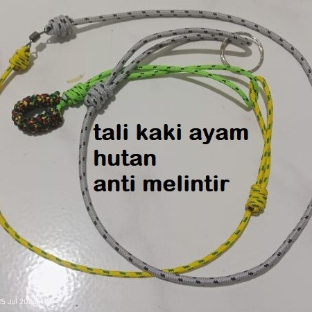 Tali Kaki Ayam Hutan Jago Tali Jemur Ayam Anti Melintir plus kili kili + ring angklet kaki ayam