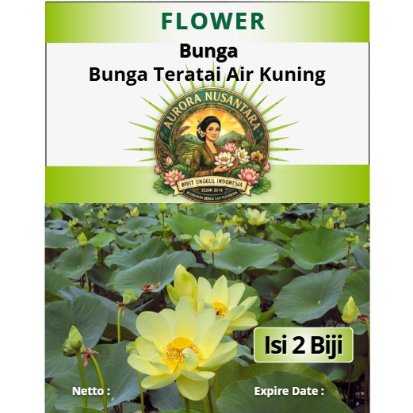 Bibit Unggul Indonesia Bunga Teratai Air Kuning| Biji Benih Bunga Lotus Air Kuning | Bunga Teratai T