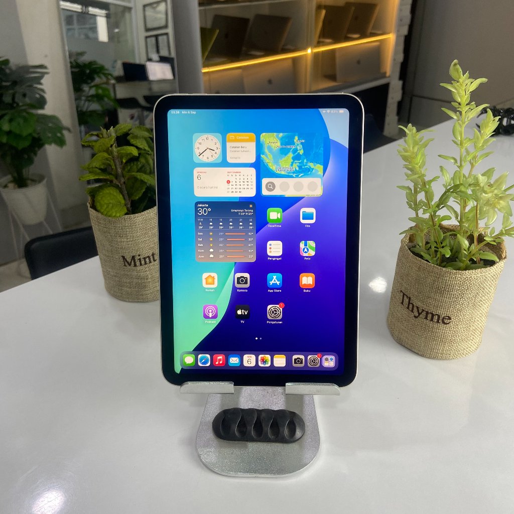 Ipad Mini 6 256 GB Starlight