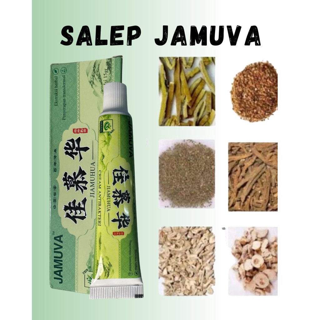 JAMUVA Salep Gatal Kulit Ampuh Salep Cina Gatel Exim Kulit Salep Psoriasis Eksim Jamur Kurap Alergi