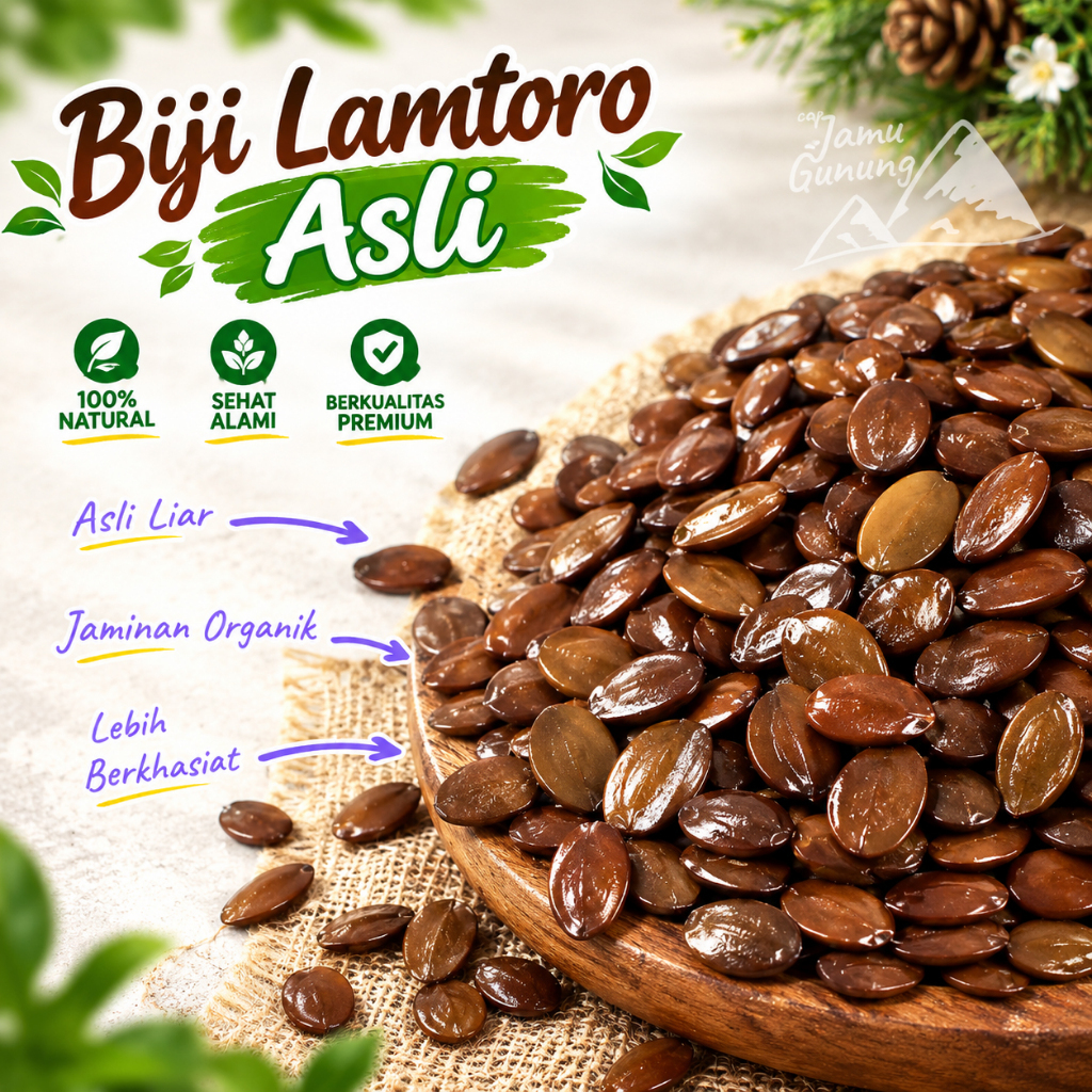 Biji Lamtoro Gung 500gr Petai Cina Kering
