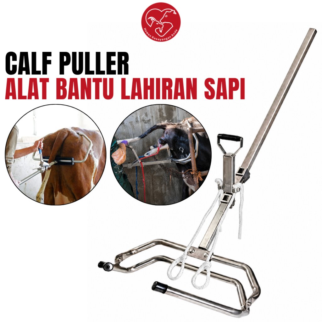 Calf Puller - Alat Bantu Lahiran Sapi Cow Midwifery Device