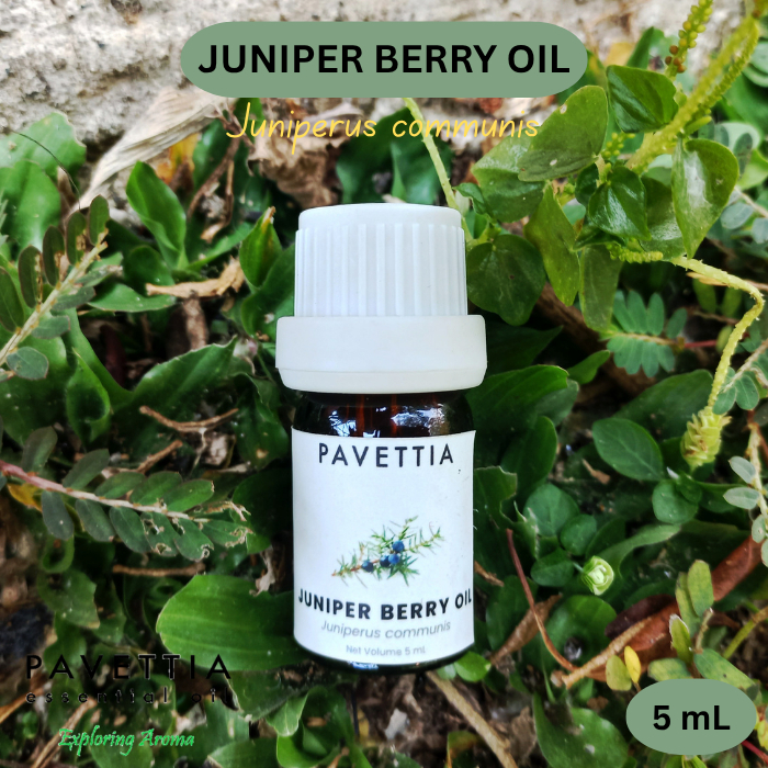 5 ml sampel - minyak Juniper berry - Juniper berry oil (Juniperus communis) - Essential oil / Minyak